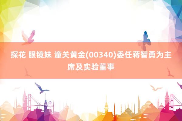 探花 眼镜妹 潼关黄金(00340)委任蒋智勇为主席及实验董事