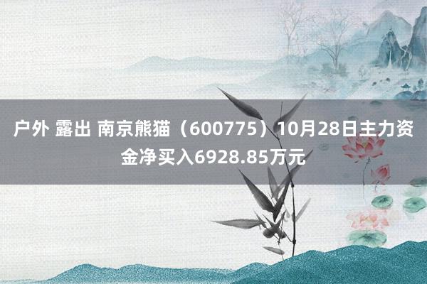 户外 露出 南京熊猫（600775）10月28日主力资金净买入6928.85万元