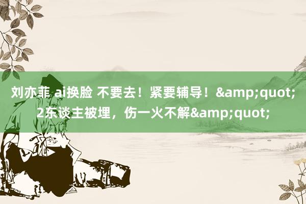 刘亦菲 ai换脸 不要去！紧要辅导！&quot;2东谈主被埋，伤一火不解&quot;