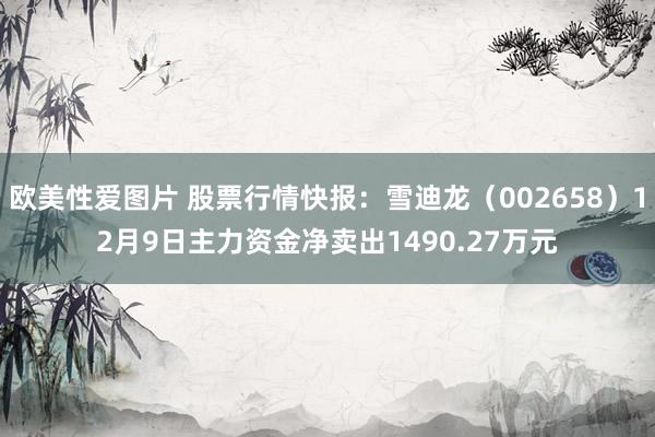 欧美性爱图片 股票行情快报：雪迪龙（002658）12月9日主力资金净卖出1490.27万元
