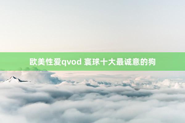 欧美性爱qvod 寰球十大最诚意的狗