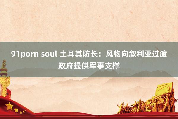 91porn soul 土耳其防长：风物向叙利亚过渡政府提供军事支撑