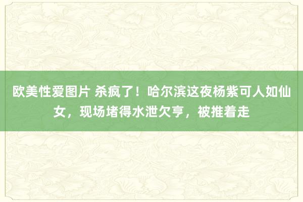 欧美性爱图片 杀疯了！哈尔滨这夜杨紫可人如仙女，现场堵得水泄欠亨，被推着走