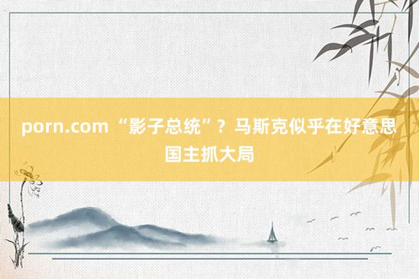 porn.com “影子总统”？马斯克似乎在好意思国主抓大局