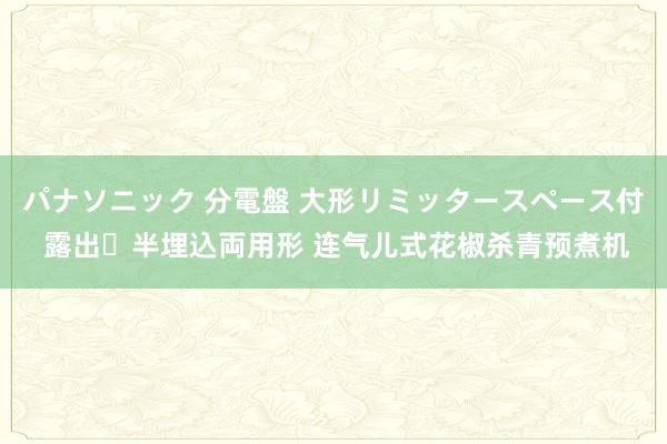 パナソニック 分電盤 大形リミッタースペース付 露出・半埋込両用形 连气儿式花椒杀青预煮机