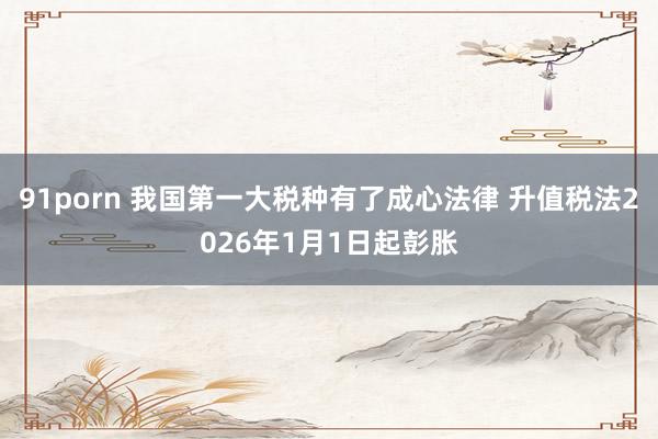 91porn 我国第一大税种有了成心法律 升值税法2026年1月1日起彭胀