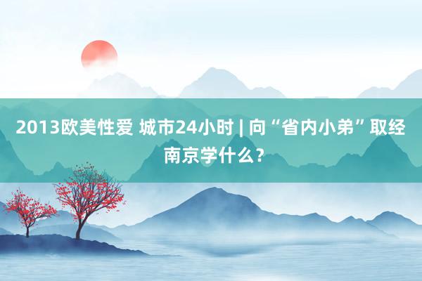 2013欧美性爱 城市24小时 | 向“省内小弟”取经 南京学什么？