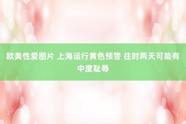 欧美性爱图片 上海运行黄色预警 往时两天可能有中度耻辱
