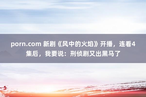 porn.com 新剧《风中的火焰》开播，连看4集后，我要说：刑侦剧又出黑马了