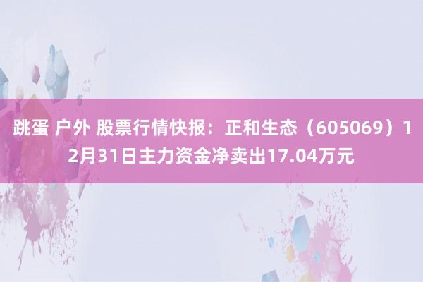 跳蛋 户外 股票行情快报：正和生态（605069）12月31日主力资金净卖出17.04万元