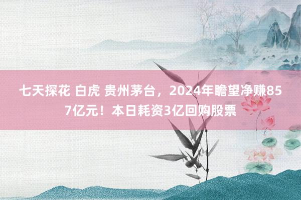 七天探花 白虎 贵州茅台，2024年瞻望净赚857亿元！本日耗资3亿回购股票