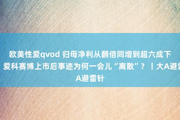 欧美性爱qvod 归母净利从翻倍同增到超六成下落！爱科赛博上市后事迹为何一会儿“离散”？丨大A避雷针