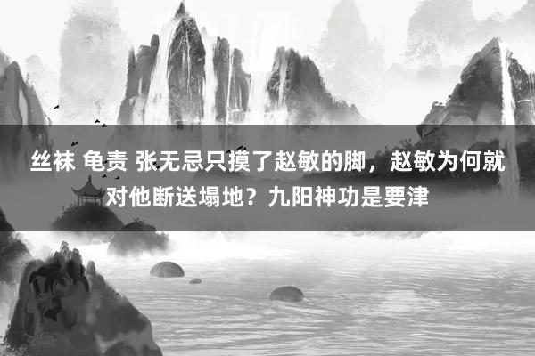 丝袜 龟责 张无忌只摸了赵敏的脚，赵敏为何就对他断送塌地？九阳神功是要津