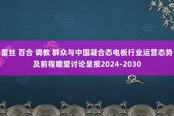 蕾丝 百合 调教 群众与中国凝合态电板行业运营态势及前程瞻望讨论呈报2024-2030