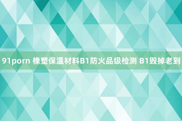 91porn 橡塑保温材料B1防火品级检测 B1毁掉老到