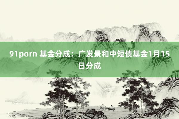 91porn 基金分成：广发景和中短债基金1月15日分成