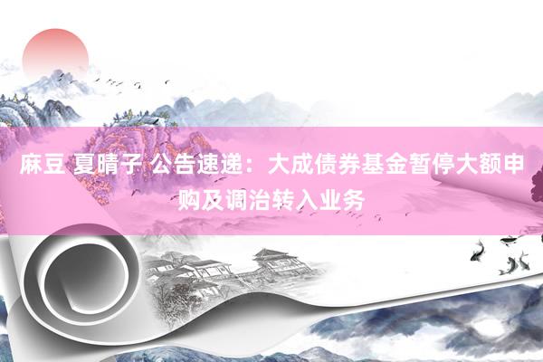 麻豆 夏晴子 公告速递：大成债券基金暂停大额申购及调治转入业务