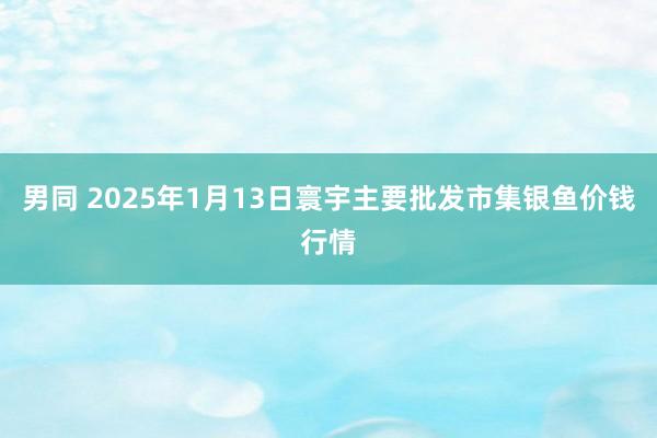 男同 2025年1月13日寰宇主要批发市集银鱼价钱行情