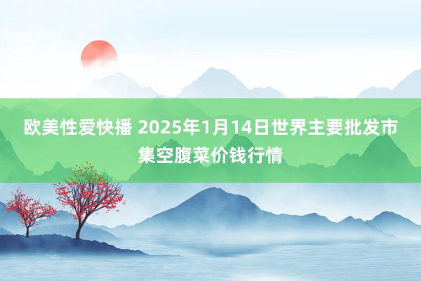 欧美性爱快播 2025年1月14日世界主要批发市集空腹菜价钱行情