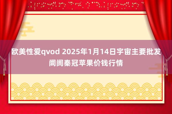 欧美性爱qvod 2025年1月14日宇宙主要批发阛阓秦冠苹果价钱行情