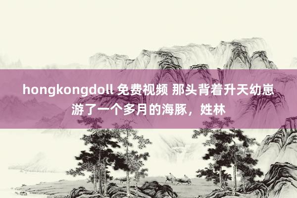 hongkongdoll 免费视频 那头背着升天幼崽游了一个多月的海豚，姓林