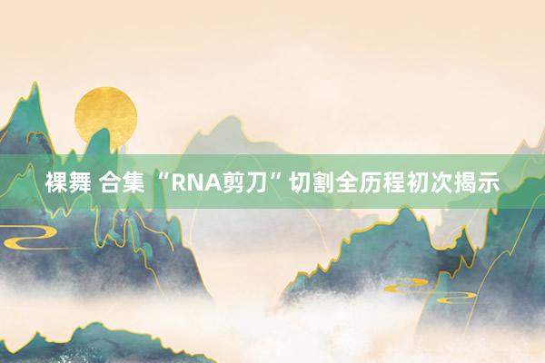 裸舞 合集 “RNA剪刀”切割全历程初次揭示