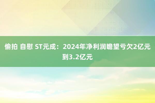 偷拍 自慰 ST元成：2024年净利润瞻望亏欠2亿元到3.2亿元