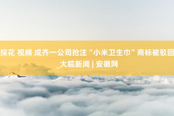 探花 视频 成齐一公司抢注“小米卫生巾”商标被驳回_大皖新闻 | 安徽网