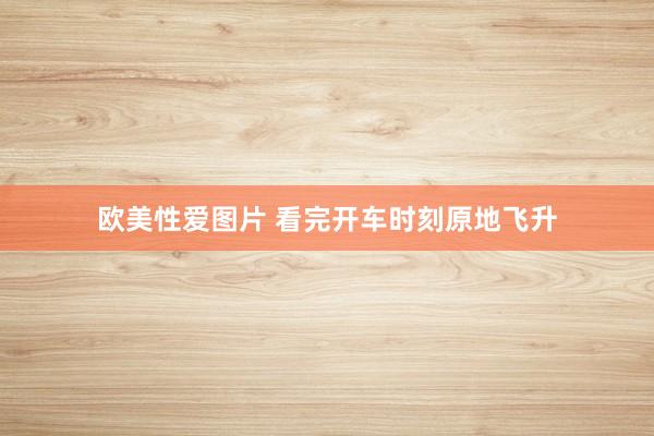 欧美性爱图片 看完开车时刻原地飞升