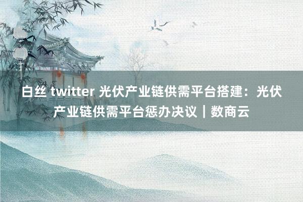 白丝 twitter 光伏产业链供需平台搭建：光伏产业链供需平台惩办决议｜数商云
