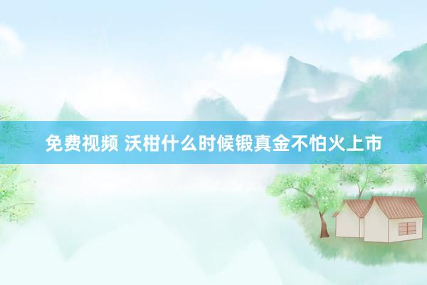 免费视频 沃柑什么时候锻真金不怕火上市