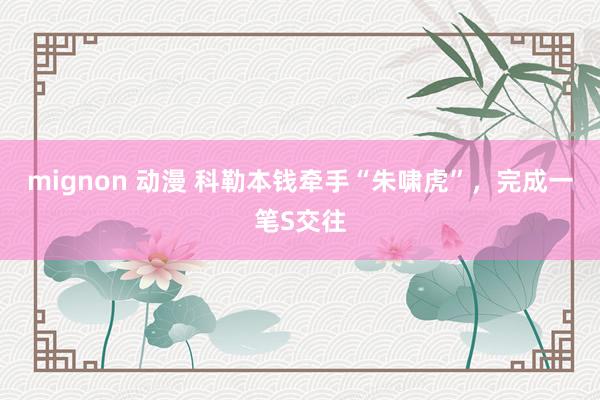mignon 动漫 科勒本钱牵手“朱啸虎”，完成一笔S交往