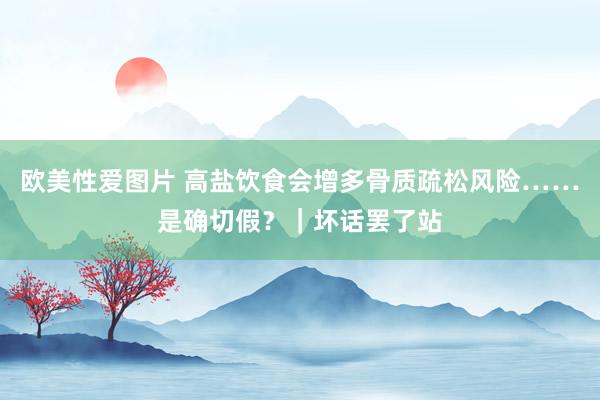 欧美性爱图片 高盐饮食会增多骨质疏松风险……是确切假？｜坏话罢了站