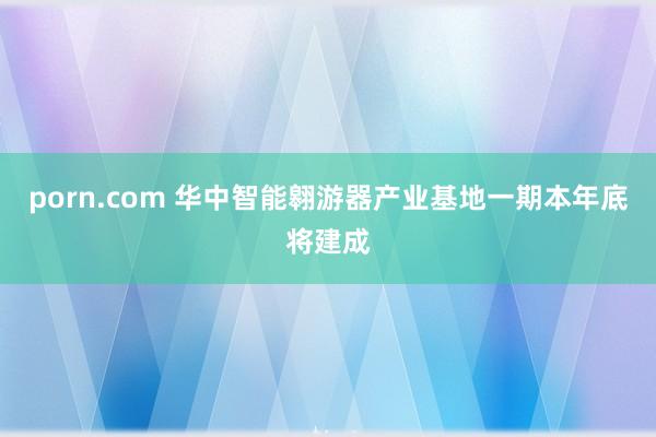 porn.com 华中智能翱游器产业基地一期本年底将建成