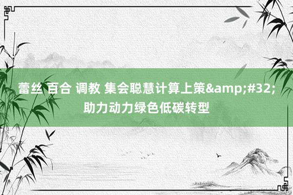 蕾丝 百合 调教 集会聪慧计算上策&#32;助力动力绿色低碳转型