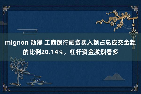 mignon 动漫 工商银行融资买入额占总成交金额的比例20.14%，杠杆资金激烈看多