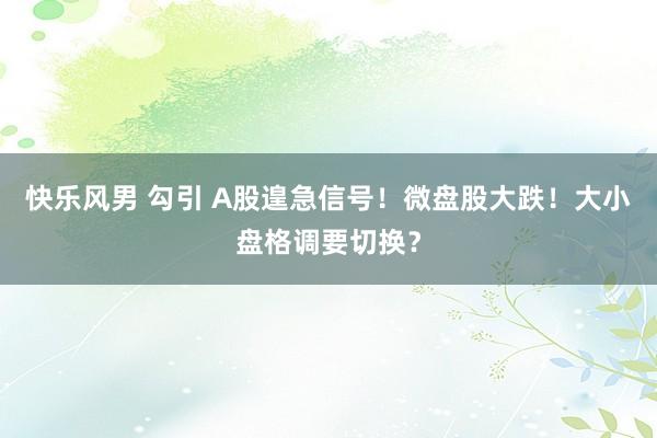 快乐风男 勾引 A股遑急信号！微盘股大跌！大小盘格调要切换？