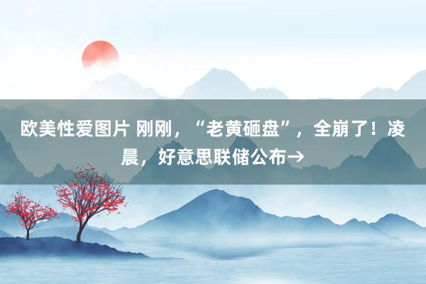 欧美性爱图片 刚刚，“老黄砸盘”，全崩了！凌晨，好意思联储公布→