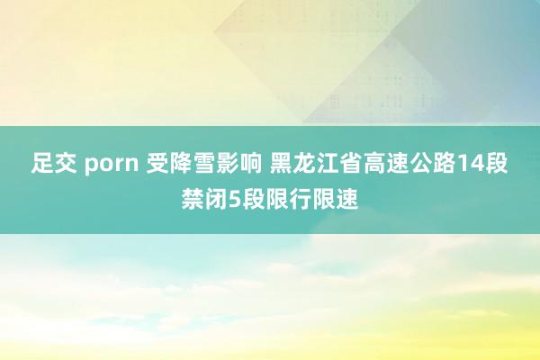 足交 porn 受降雪影响 黑龙江省高速公路14段禁闭5段限行限速