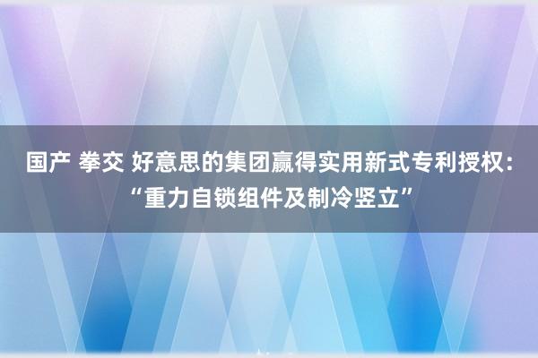 国产 拳交 好意思的集团赢得实用新式专利授权：“重力自锁组件及制冷竖立”