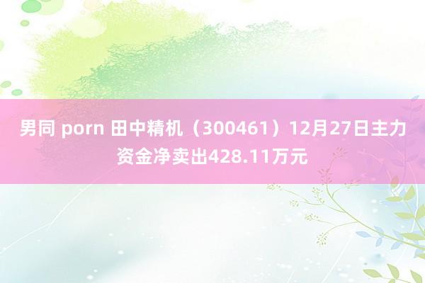 男同 porn 田中精机（300461）12月27日主力资金净卖出428.11万元