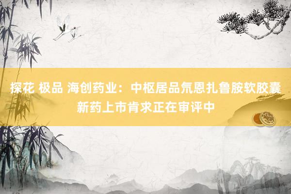 探花 极品 海创药业：中枢居品氘恩扎鲁胺软胶囊新药上市肯求正在审评中
