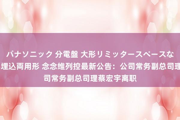 パナソニック 分電盤 大形リミッタースペースなし 露出・半埋込両用形 念念维列控最新公告：公司常务副总司理蔡宏宇离职
