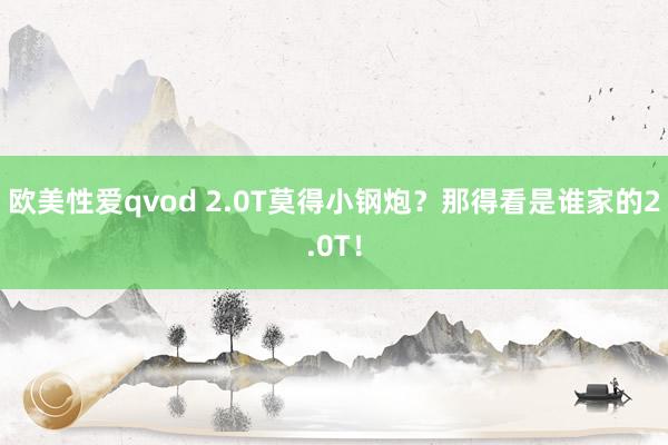 欧美性爱qvod 2.0T莫得小钢炮？那得看是谁家的2.0T！