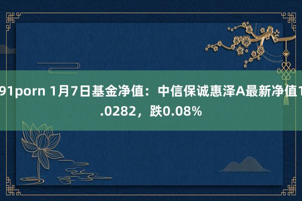 91porn 1月7日基金净值：中信保诚惠泽A最新净值1.0282，跌0.08%