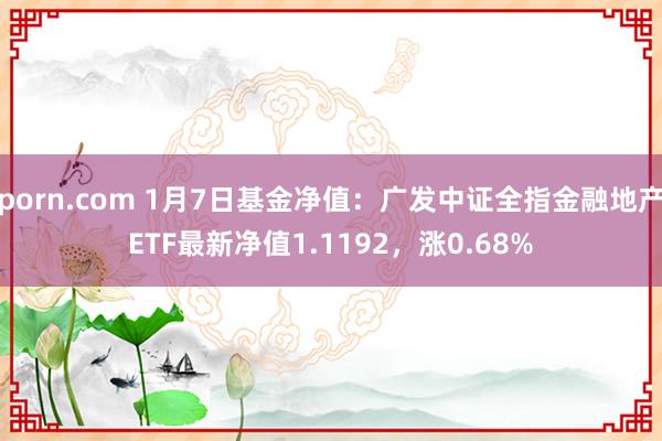 porn.com 1月7日基金净值：广发中证全指金融地产ETF最新净值1.1192，涨0.68%