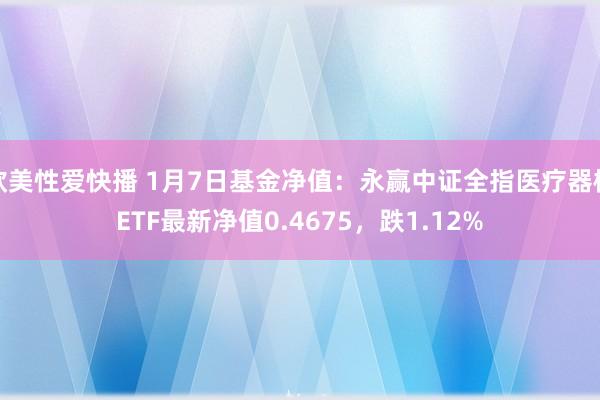欧美性爱快播 1月7日基金净值：永赢中证全指医疗器械ETF最新净值0.4675，跌1.12%