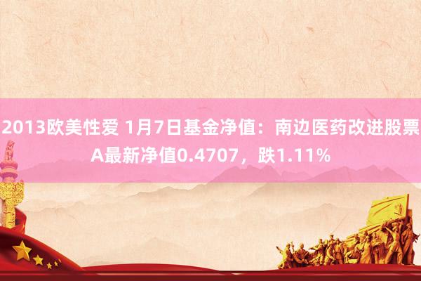 2013欧美性爱 1月7日基金净值：南边医药改进股票A最新净值0.4707，跌1.11%