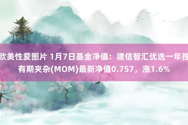 欧美性爱图片 1月7日基金净值：建信智汇优选一年捏有期夹杂(MOM)最新净值0.757，涨1.6%