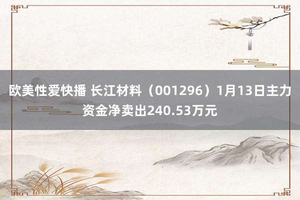 欧美性爱快播 长江材料（001296）1月13日主力资金净卖出240.53万元